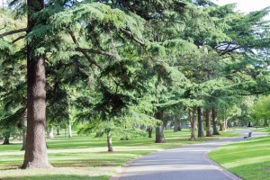 Fitzroy Gardens