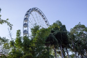 Wheel of Brisbane