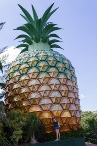 The Big Pineapple