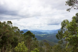 Lookout Atherton Tablelands