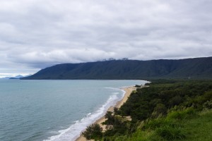Rex Lookout