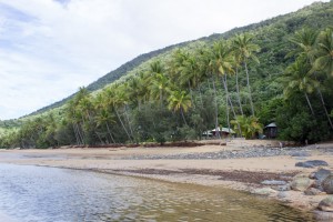 Ellis Beach