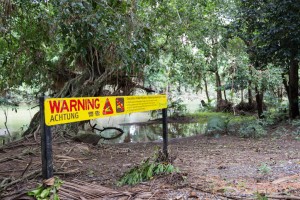 Mossman River