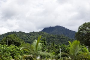 Cairns Hinterland