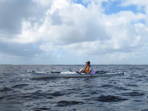 Kayaktour in den Noosa Everglades