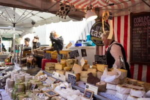 Käse und Antipasti