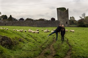 Ruinen und Schafe - Kells Priory