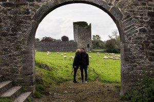 Ruinen und Schafe - Kells Priory