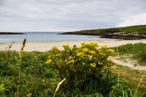 Crookhaven