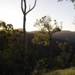 Auf dem Weg zum Wallaman Falls