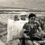 Jatiluwih Reisfelder
