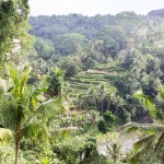Ayung River, Ubud
