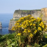 Cliffs of Moher
