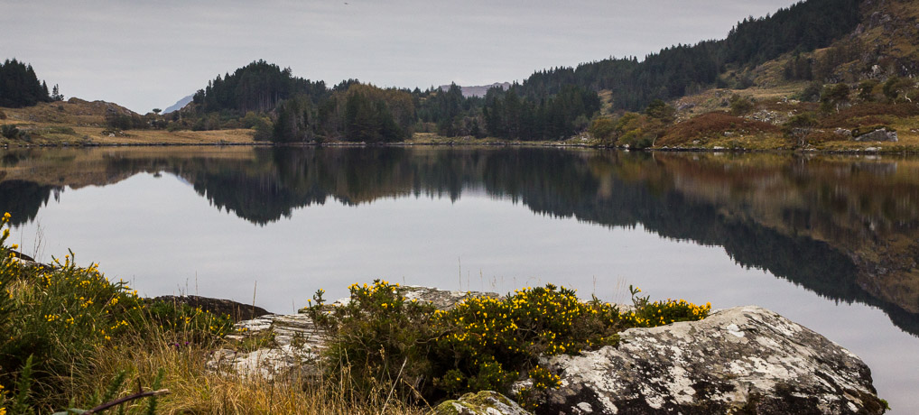 Killarney verzaubert ♥
