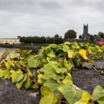 Limerick