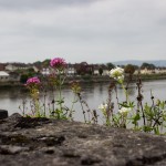 Limerick